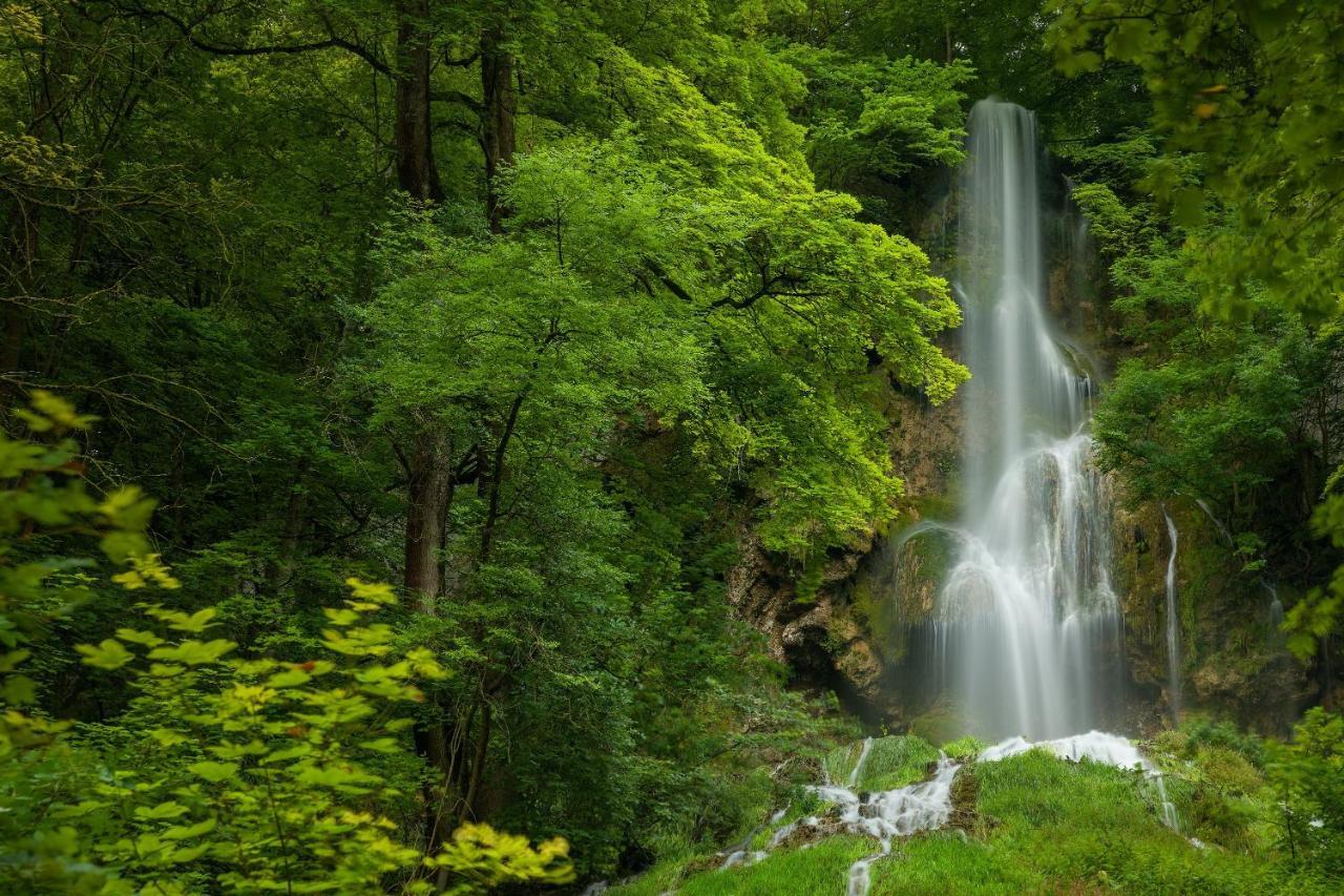 Flexible, Schoene Und Gut Aussehende Feriensuite Reutlingen Dış mekan fotoğraf